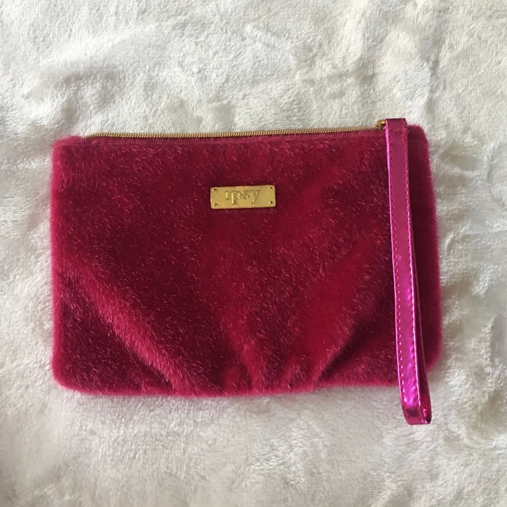 Ipsy Pouch for Makeup or miscellaneous